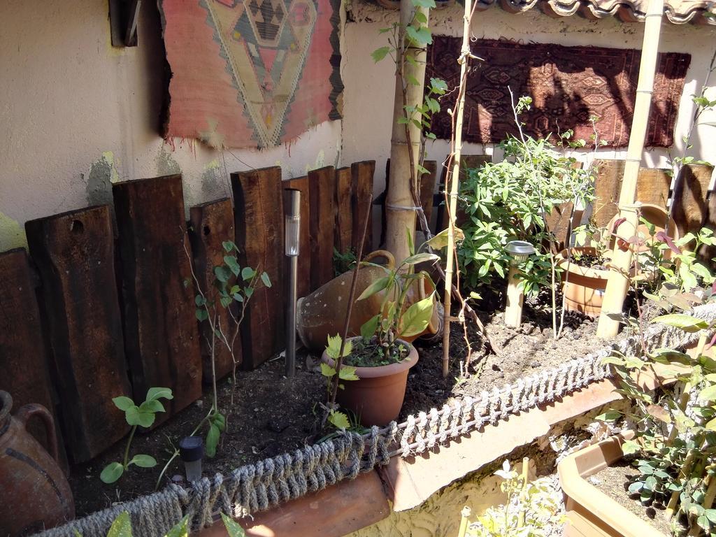 Lea Guest House Tiflis Dış mekan fotoğraf